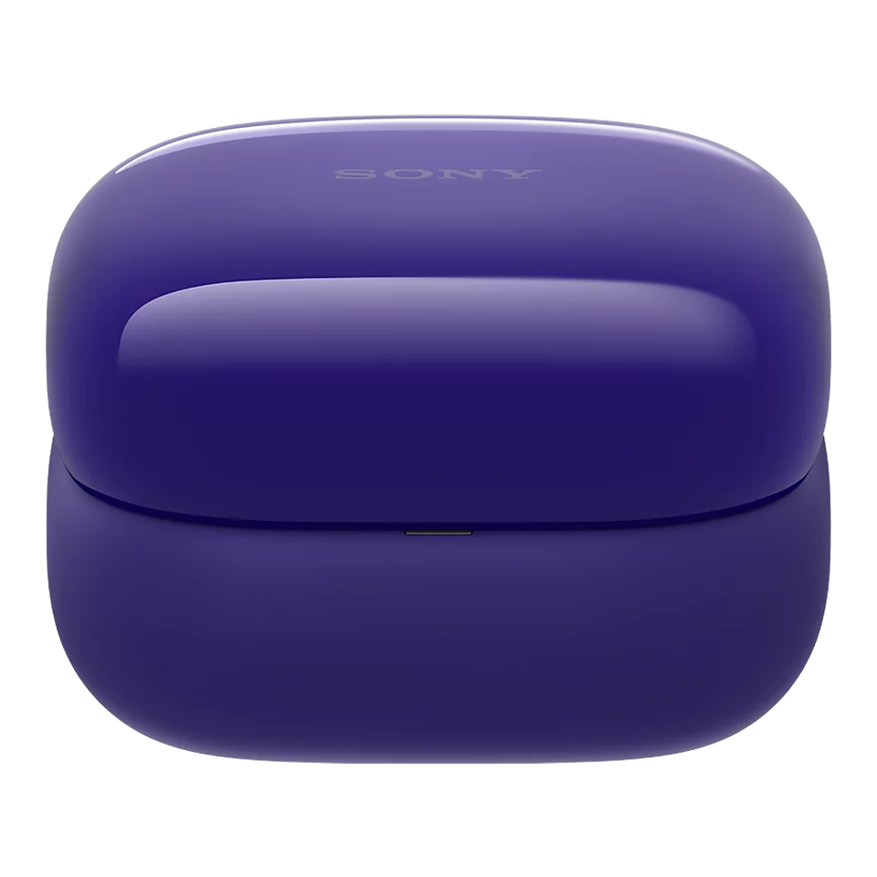 LinkBuds Fit - Charging Case - Oplaadcase