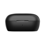 QuietComfort Earbuds (2024) - Charging Case - Oplaadcase - Black