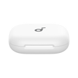 AeroFit 2 - Charging Case - Oplaadcase - Zilver