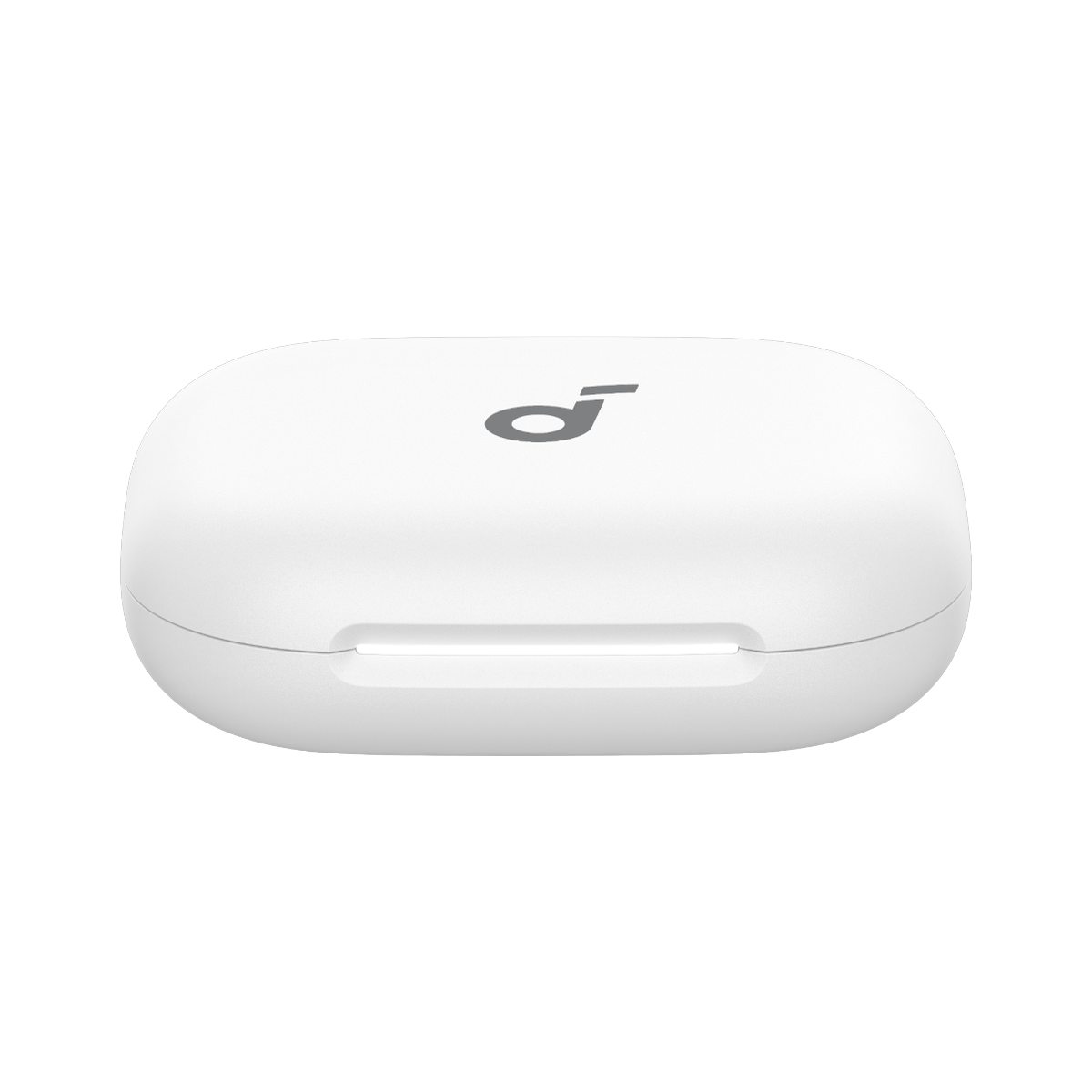 AeroFit 2 - Charging Case - Oplaadcase - Zilver