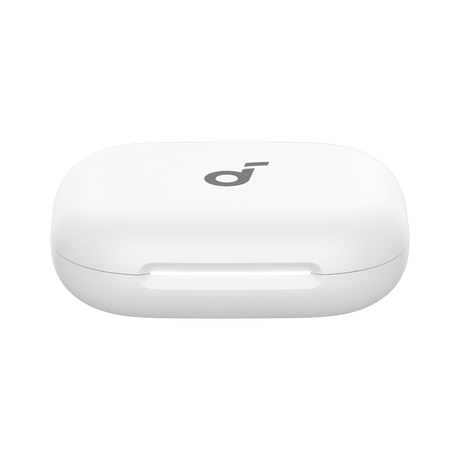 AeroFit 2 - Charging Case - Oplaadcase - Zilver