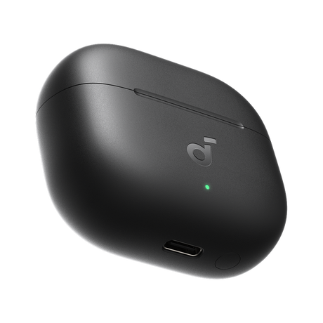 P42i - Charging Case - Oplaadcase - Zwart